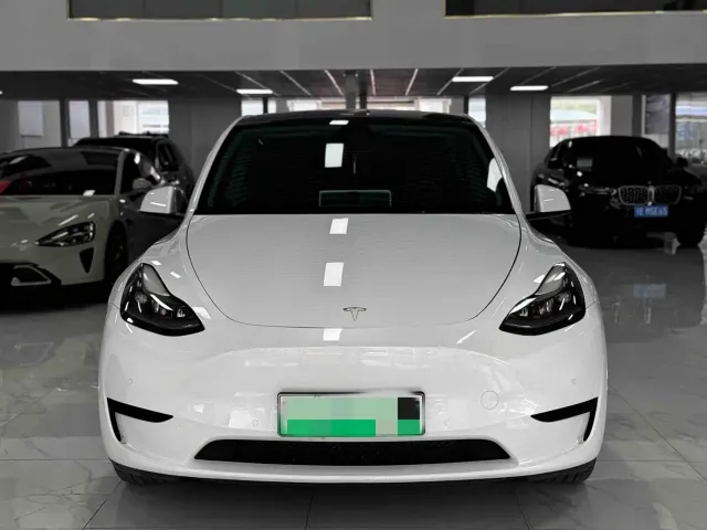 Tesla Model Y — Фото автомобиля 2