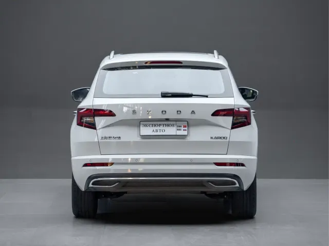 Skoda Karoq — Фото автомобиля 9