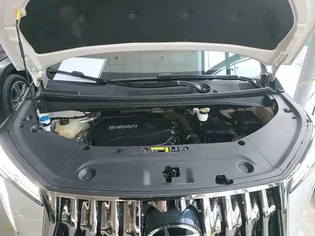GAC Trumpchi M8 — Фото автомобиля 19