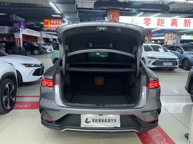 BYD Han — Фото автомобиля 16