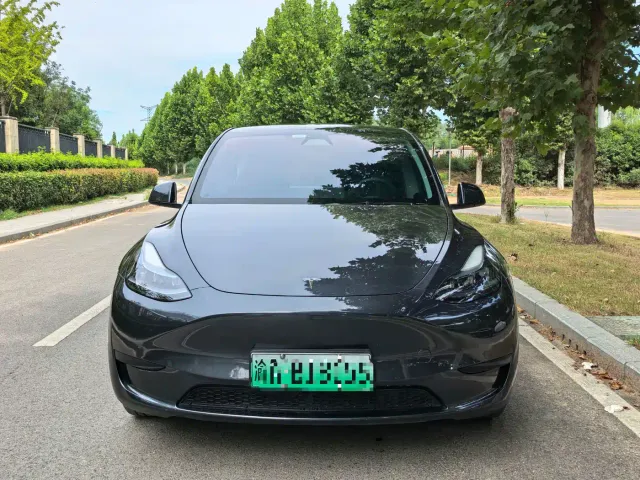 Tesla Model Y — Фото автомобиля 2