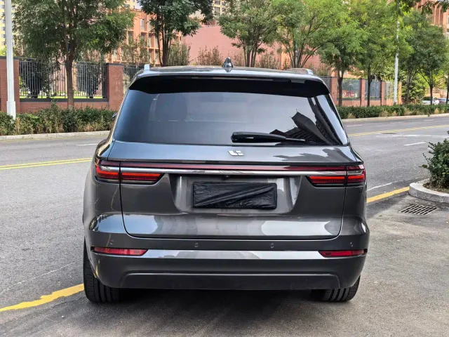 Li Auto Li ONE 2021 Extended Range 6-Seater — Фото автомобиля 10