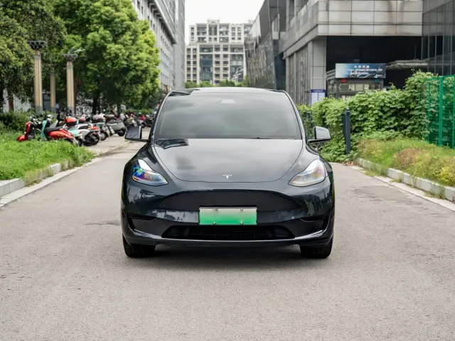 Tesla Model Y — Фото автомобиля 2