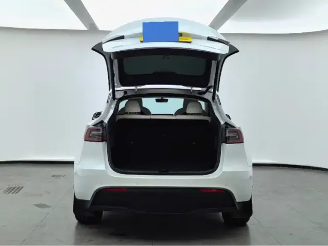 Tesla Model Y — Фото автомобиля 14