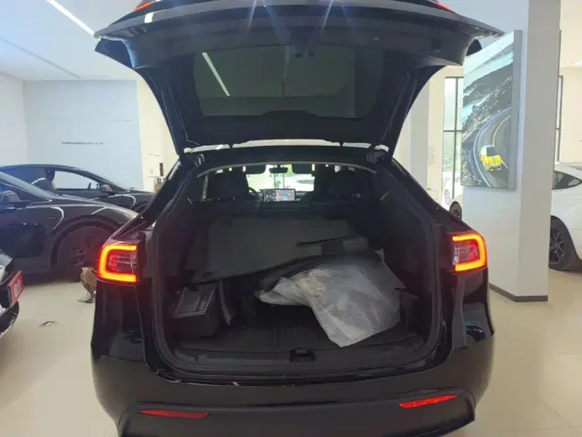 Tesla Model Y — Фото автомобиля 18