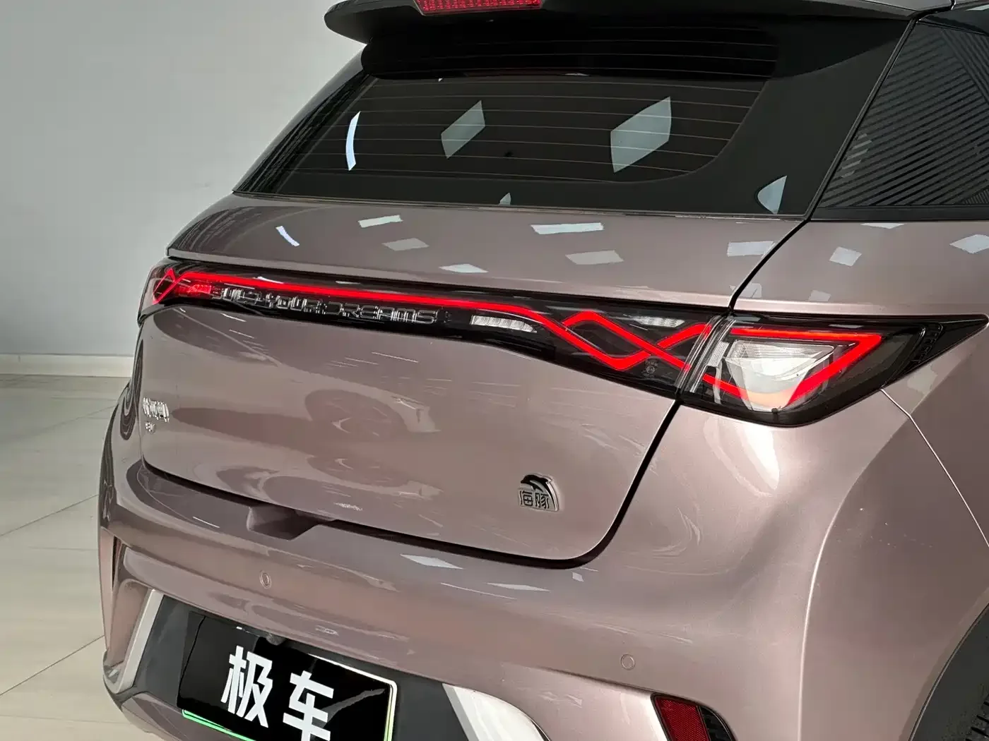 BYD Dolphin 2021 Model 405km Fashion Edition — Фото автомобиля 8
