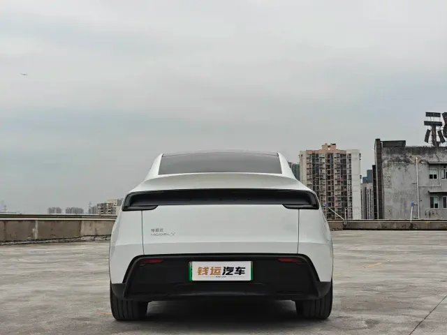 Tesla Model Y — Фото автомобиля 6