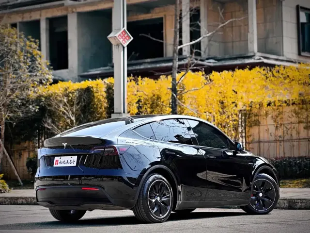Tesla Model Y — Фото автомобиля 13