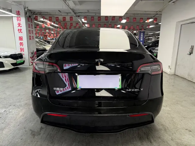 Tesla Model Y — Фото автомобиля 9