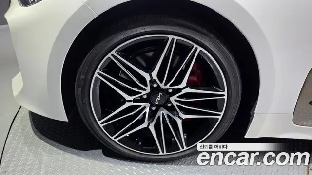 Kia Stinger Stinger Meister 2.5 AWD Masters — Фото автомобиля 4