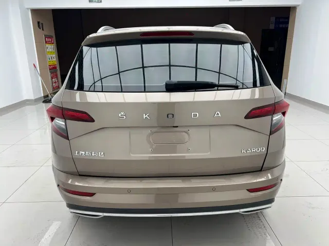 Skoda Karoq — Фото автомобиля 5