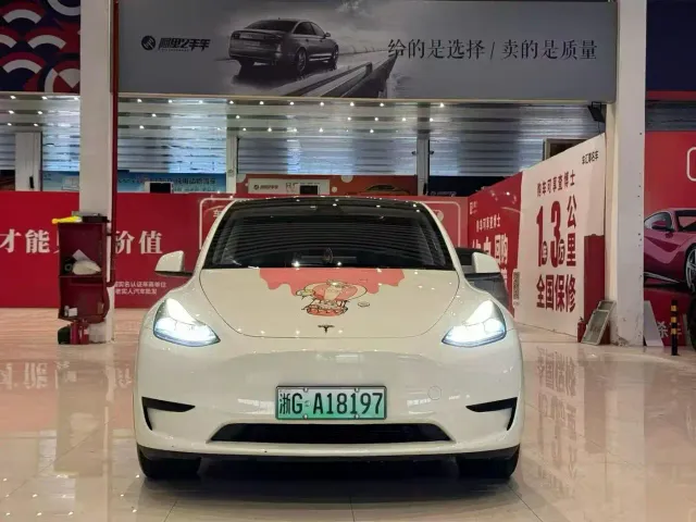 Tesla Model Y — Фото автомобиля 2