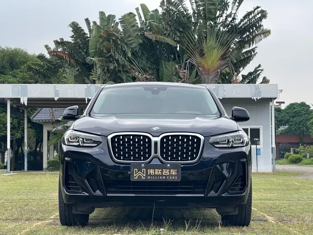 BMW X4 — Фото автомобиля 2
