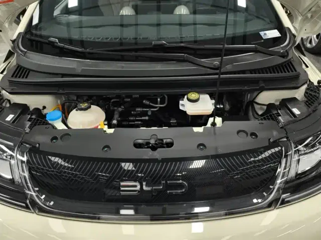BYD Dolphin — Фото автомобиля 10