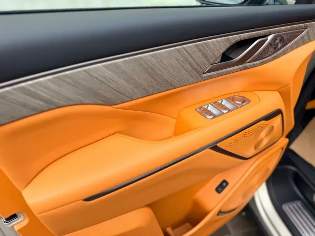 Wey Alpine — Фото автомобиля 15
