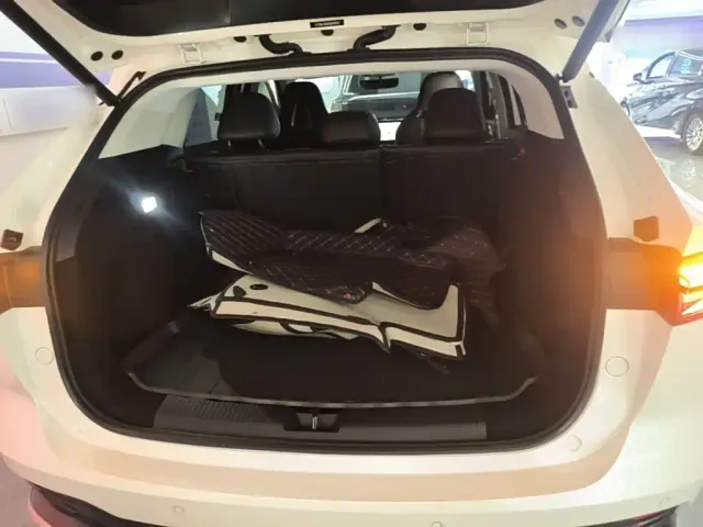 Roewe D5X DMH — Фото автомобиля 18