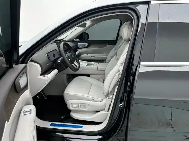 Leapmotor D Series — Фото автомобиля 13