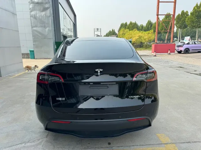 Tesla Model Y — Фото автомобиля 13