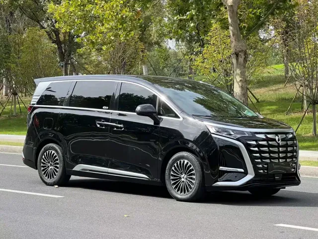 Denza Denza D9 2024 DM-i 980 AWD Flagship — Фото автомобиля 3