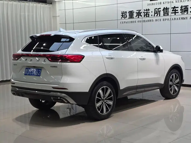 Haval Haval H6 2021 Model National Trend Edition 1.5T Auto Champion — Фото автомобиля 8