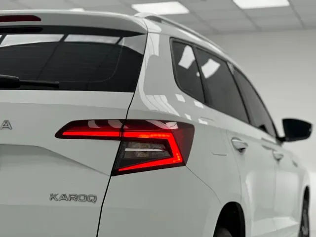 Skoda Karoq — Фото автомобиля 17