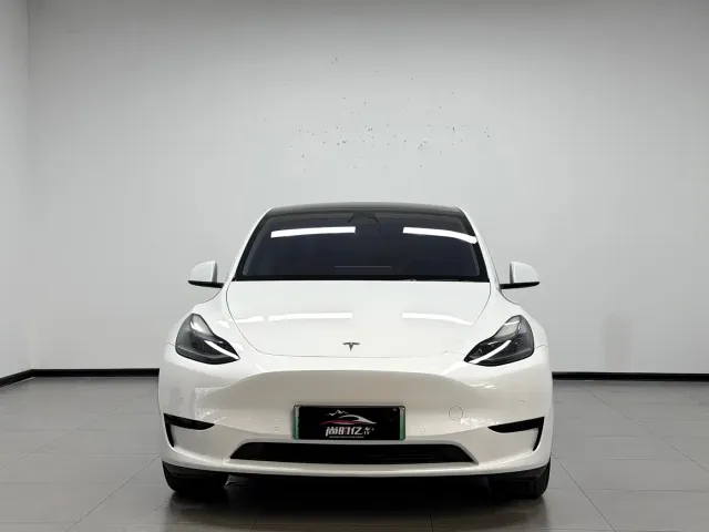 Tesla Model Y — Фото автомобиля 2