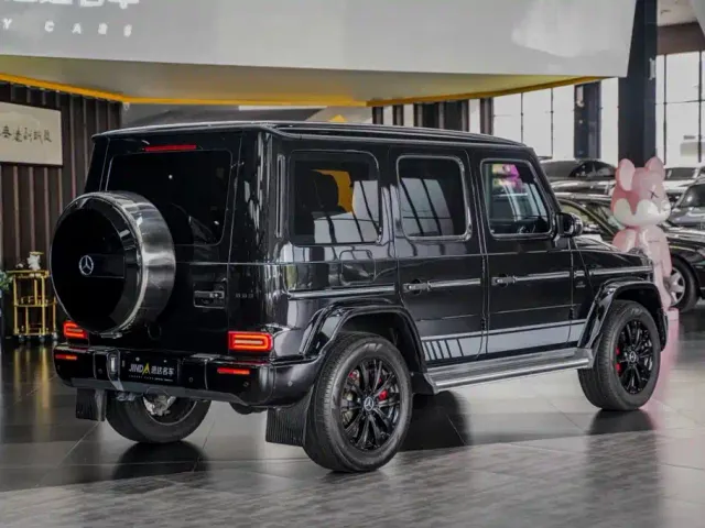 Mercedes-Benz G-Class — Фото автомобиля 19