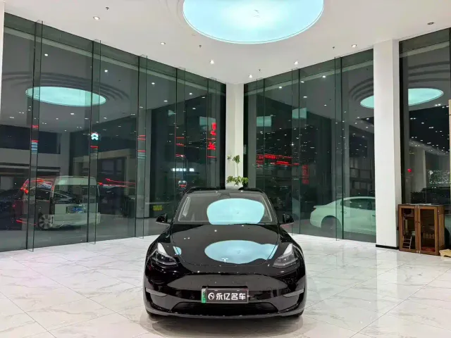 Tesla Model Y — Фото автомобиля 2