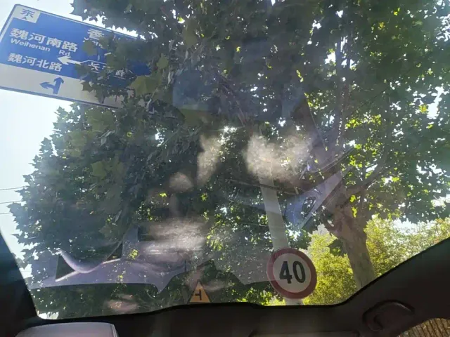 BYD Seal — Фото автомобиля 13