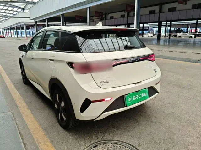 BYD Dolphin — Фото автомобиля 4