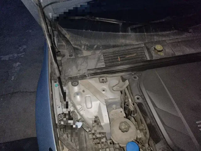 BYD Seal 2022 550km Standard Range RWD Premium — Фото автомобиля 18