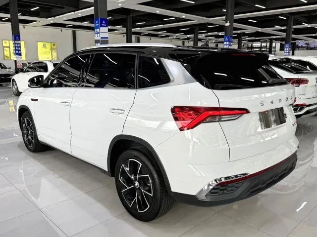 Skoda Kamiq — Фото автомобиля 9