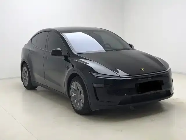 Tesla Model Y L — Фото автомобиля 7