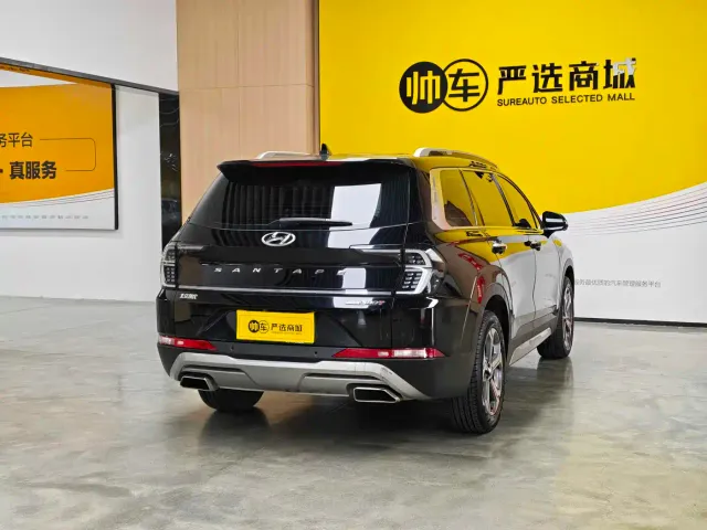 Hyundai Santa Fe — Фото автомобиля 6