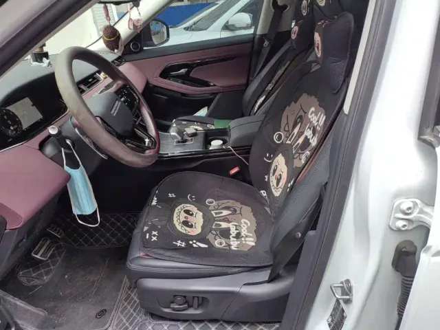 Land Rover Range Rover Evoque — Фото автомобиля 11