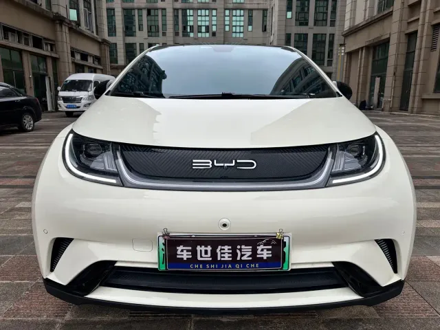 BYD Dolphin — Фото автомобиля 2