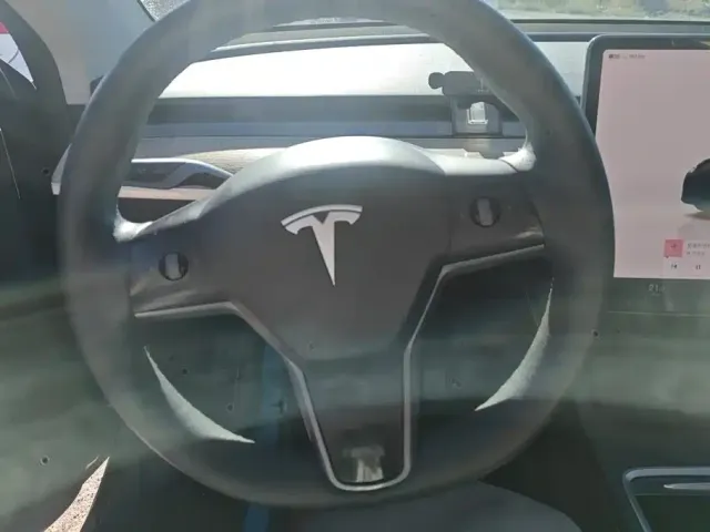 Tesla Model Y — Фото автомобиля 15