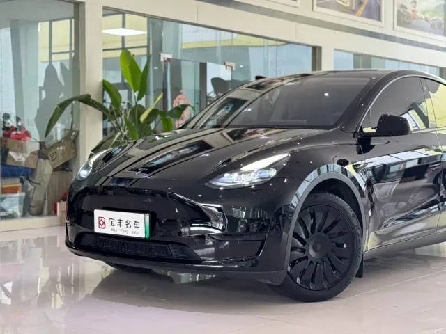 Tesla Model Y — Фото автомобиля 12