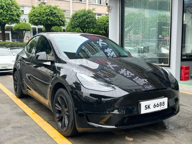 Tesla Model Y — Фото автомобиля 9