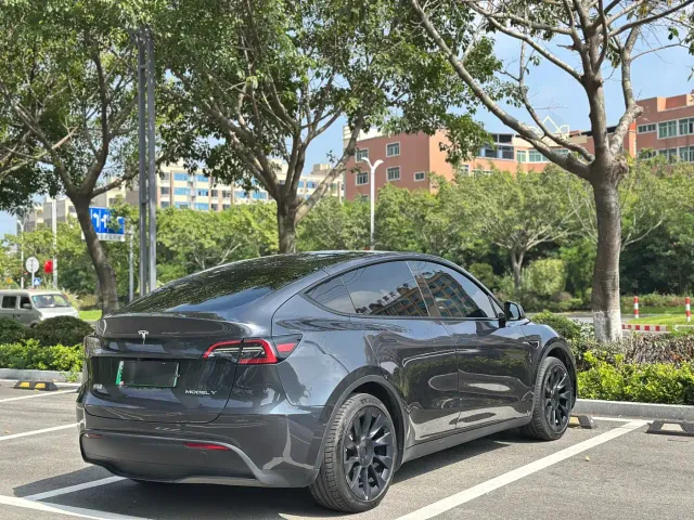 Tesla Model Y — Фото автомобиля 10