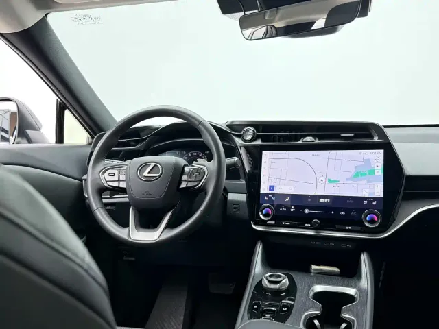 Lexus RZ — Фото автомобиля 11