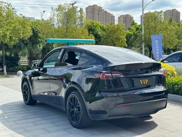 Tesla Model Y — Фото автомобиля 4