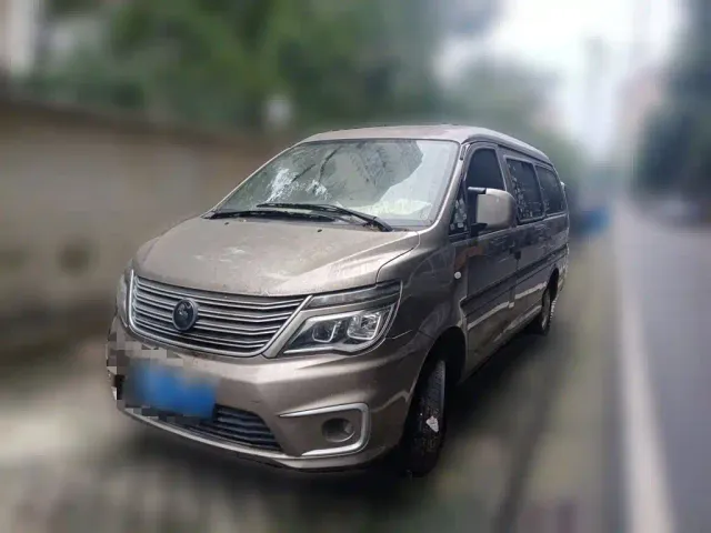 Фотография автомобиля — Forthing Lingzhi