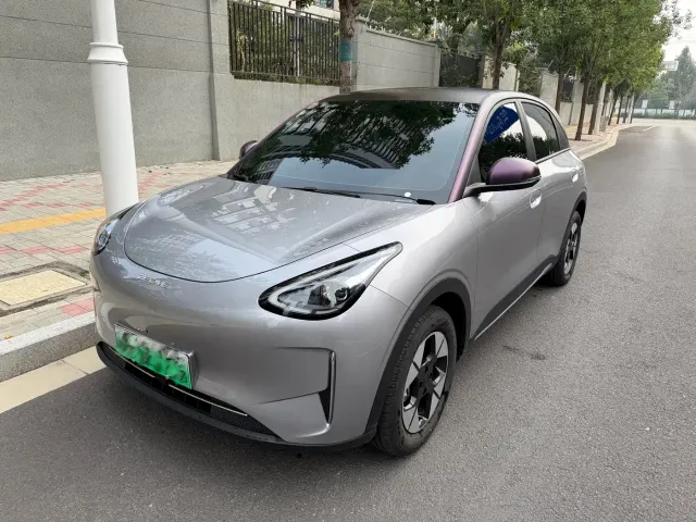 Фотография автомобиля — Geely Starry Wish
