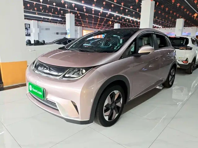 Фотография автомобиля — BYD Dolphin