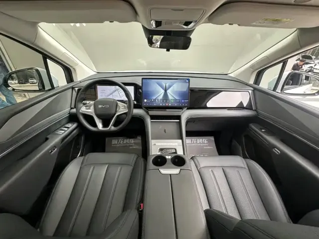 BYD M9 — Фото автомобиля 6