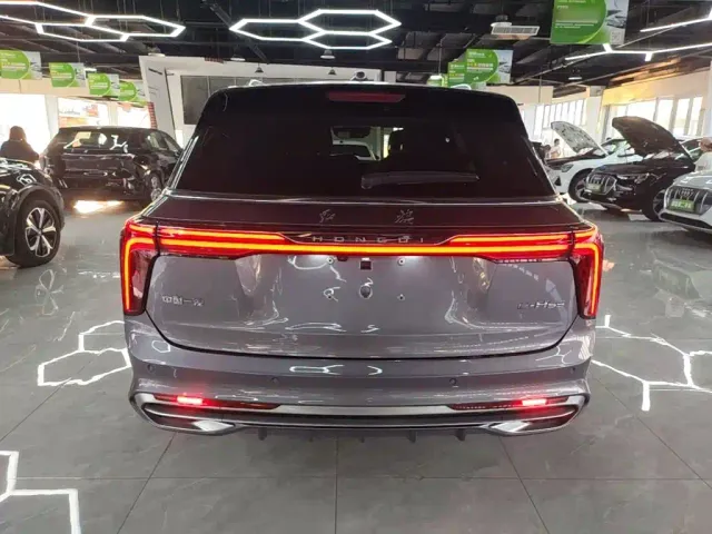 Hongqi E-HS9 — Фото автомобиля 5
