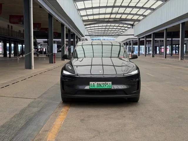 Tesla Model Y — Фото автомобиля 2