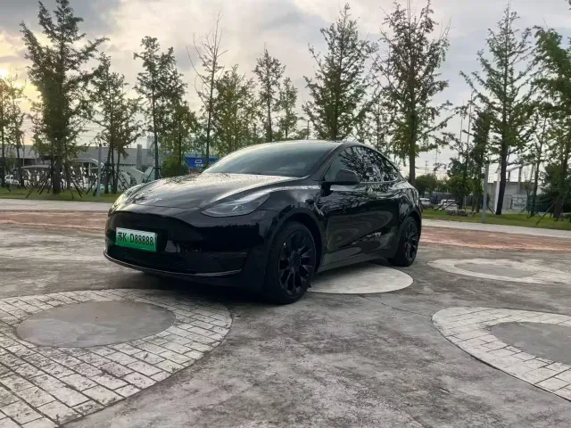 Tesla Model Y — Фото автомобиля 3