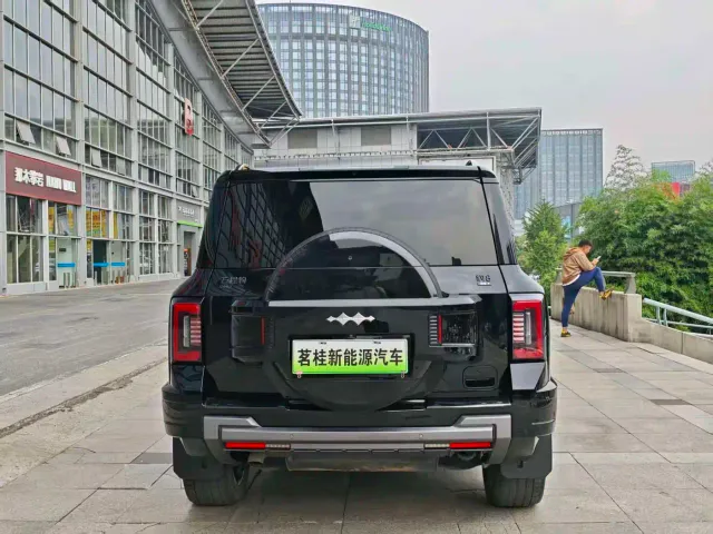 BYD FangChengBao Leopard 8 — Фото автомобиля 6